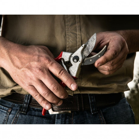 Felco oksakäärid 2 alasiga, punased