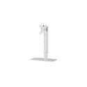 NEWSTAR FLAT SCREEN DESK MOUNT (STAND)  10-30" WHITE
