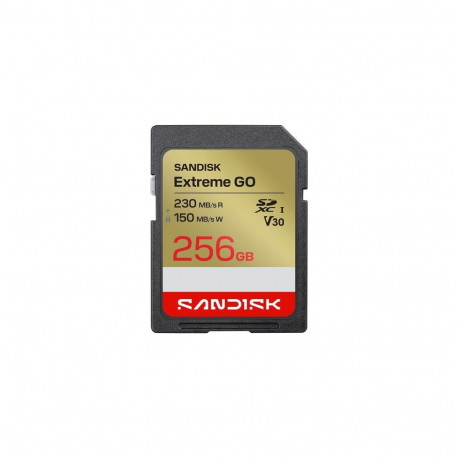 SanDisk Extreme GO 256 GB SDXC UHS-I