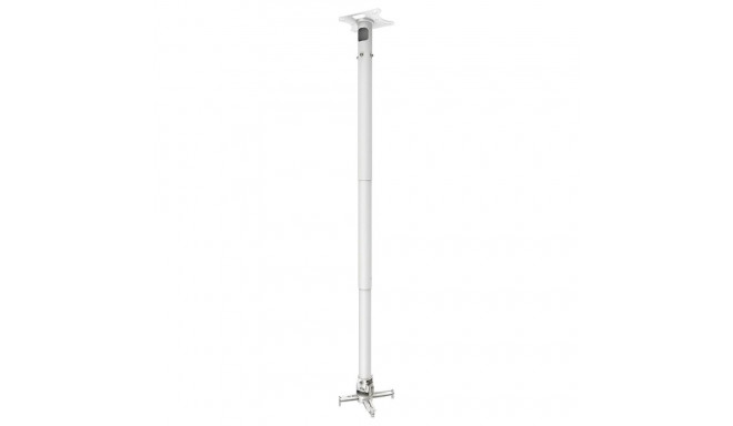 "Vision Display Mount TM-1200, Ceiling, 20 Kg, White"