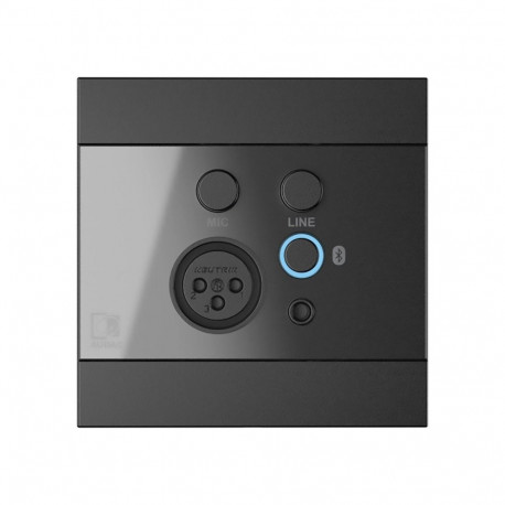 AUDAC seinapaneel WP225/B XLR-mikrofonisisend ja 3,5mm sisend bluetooth, must
