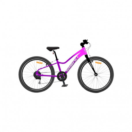Laste jalgratas TABOU Topshe 20 Lite, 20" roosa-lilla