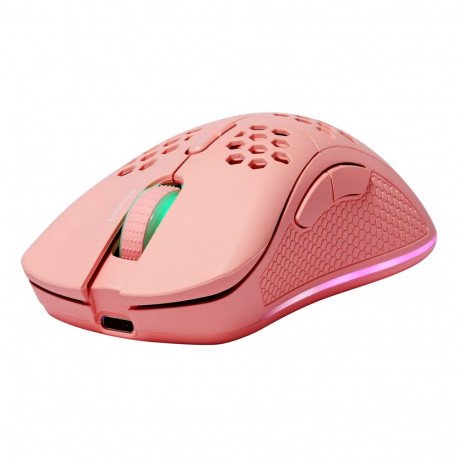 Deltaco Gaming GAM-120-P mouse Right-hand RF Wireless + Bluetooth + USB Type-C Laser 4800 DPI