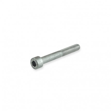 sisekuuskantpeaga kruvi M6x30 A2-70 DIN912 4PCS