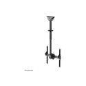 NEOMOUNTS TV/Monitor CeilingMount 32-60inch max 50kg VESA200/400 Full motion Tilt Rotate Swivel Adju