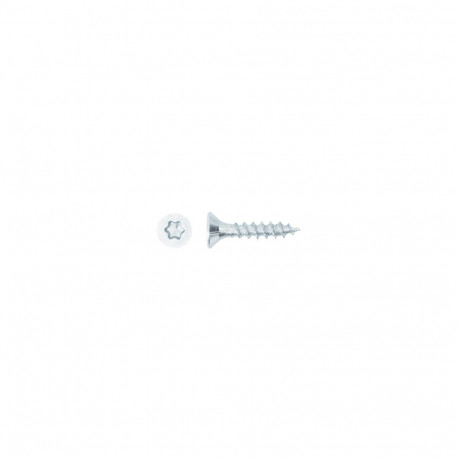 plaadikruvi T20 4.0X20 ZN(200), valge