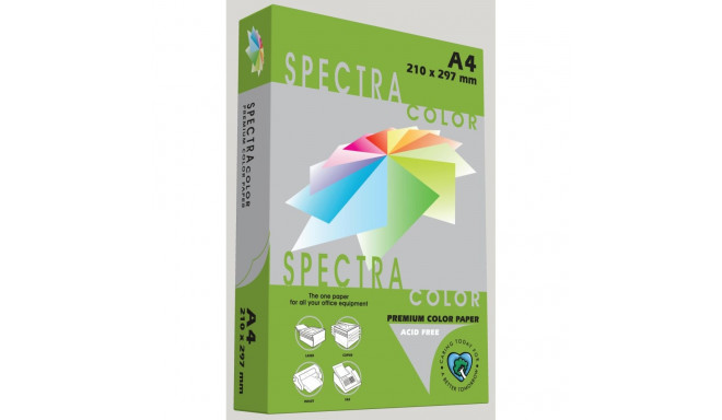 Spectra Color Parrot IT230
