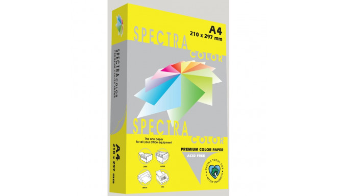 Spectra Color sidrunikollane IT210
