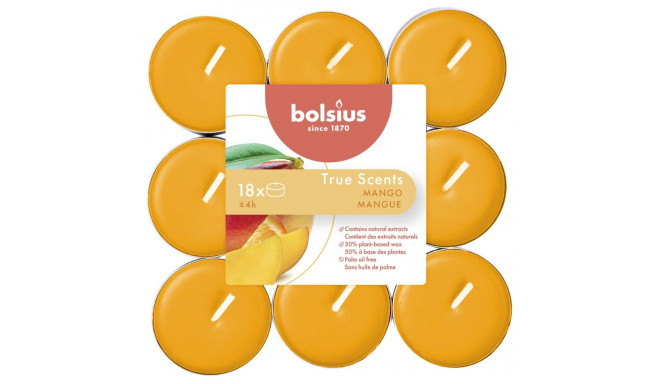 teeküünlad 18tk, mango lõhnaga