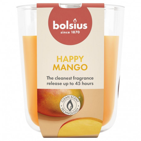 CANDLE SCENTED MANGO H9.7CMD8.5CM