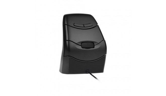 BakkerElkhuizen hiir DXT 3 mõlemakäeline optiline USB Type-C 2400DPI kontorikasutuseks