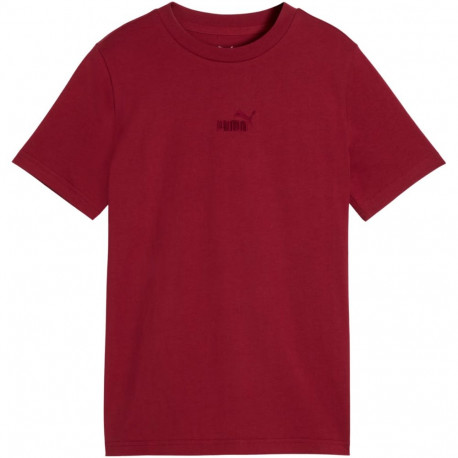 Puma laste t-särk ESS Small No.1 692975 23 140cm, pruun