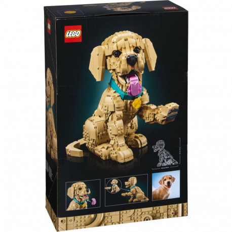 11384 Icons Golden Retriever Welpe