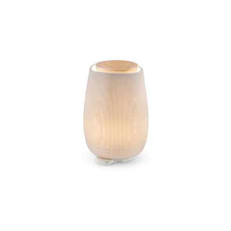 Fragrance Diffuser LA45
