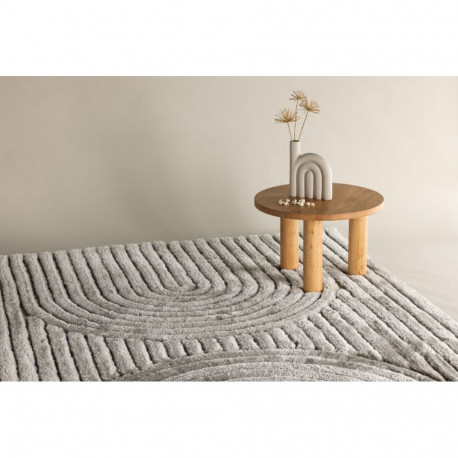 Vaip NIKLAS 290×200 cm, hall
