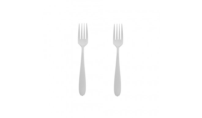 2PCS söögikahvlite komplekt