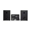 Aiwa MSBTU-300 Microsystem