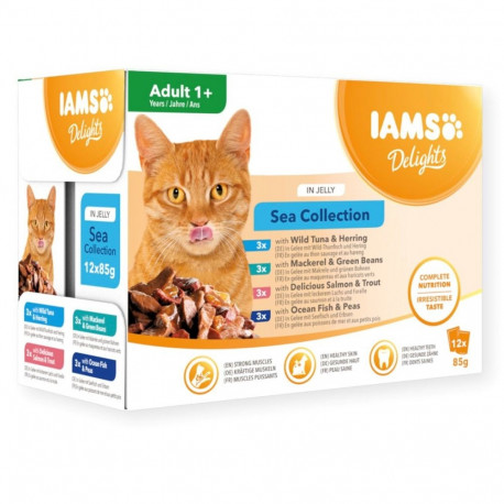 IAMS DELIGHTS märg kassitoit täiskasvanud mereline želatiinis 12x85g