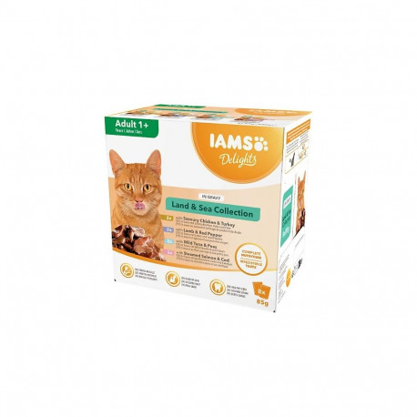 IAMS DELIGHTS märg kassitoit maa ja meri kollektsioon kastmes karbis 8x85g