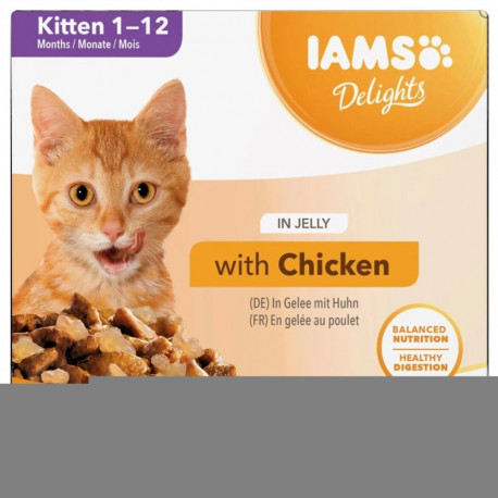 IAMS DELIGHTS Kitten in Jelly box – wet cat food – 8x85g