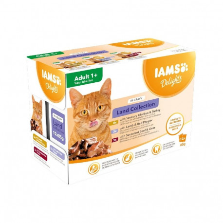IAMS DELIGHTS Land Collection in Gravy box – wet cat food – 12x85g