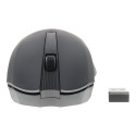 Computer mouse