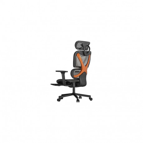 PREMIUM Office Chair with Headrest, Back Support and 3D Armrests