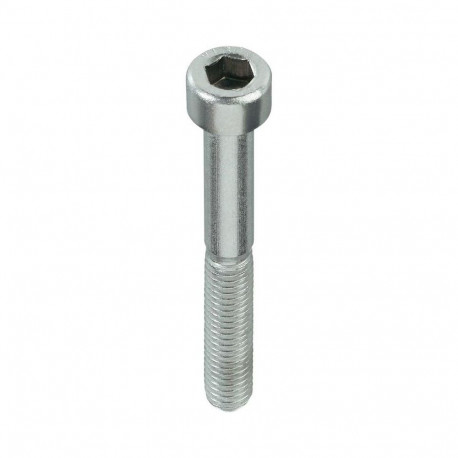 BOLT DIN912 M10X80 ZN (50)
