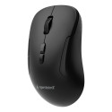 MOUSE USB OPTICAL WRL/MUSW2-7B-01 GEMBIRD