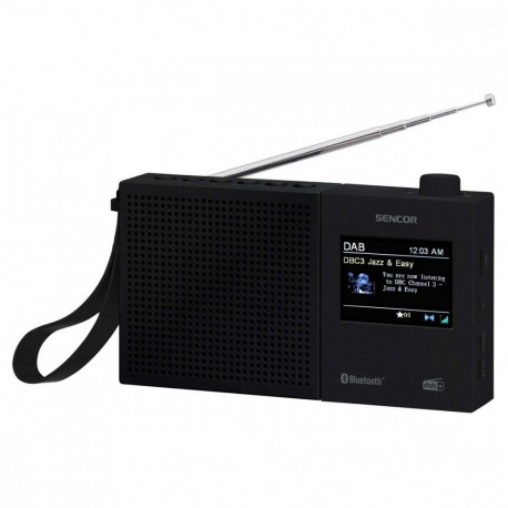 SRD raadio 7790B DAB+ FM/BT/USB 2,4 LCD