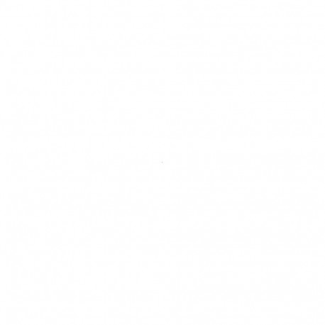 "Datalogic Kundendienst Scannermodul 2DBarcodes"