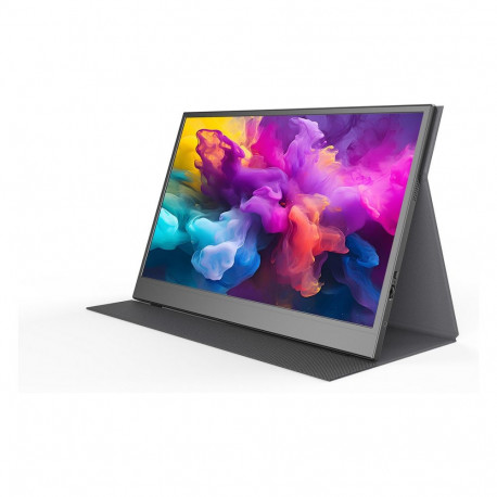 "39,6 cm (15.6"") 1920 x 1080 Pixel Denver PMO-15604 16:9 Full HD IPS 30 ms HDR VESA Speaker"