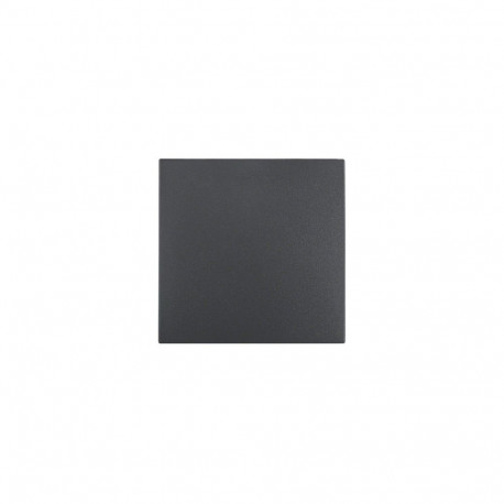 "Berker 1620 16 06 Wippe ANT B.1/B.3"