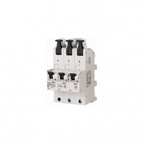 "EATON LSHU-E63/3-KL LS-Schalter 119718 ** 63A 3p AC E-Char 119718"