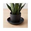 CERAMIC PLATE D22 GRAPHITE