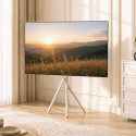 TV floor stand MC-181 W