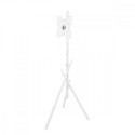 TV floor stand MC-181 W
