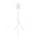 TV floor stand MC-181 W