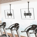 Ceiling mount for TV MC-175