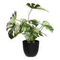 Kunsttaim MONSTERA, roheline