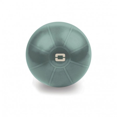 Toorx Liveness Gym ball AYP-001 D55cm with pump