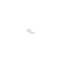 Skarpetki damskie Darn Tough Run No Show Tab Ultra-Lightweight with Cushion - white