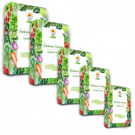 TORAF SEED SET - SET 5X5 2024 TORAF 60X1PCS