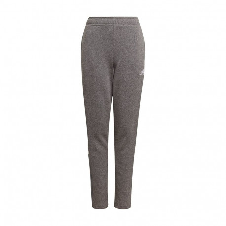 adidas laste dressipüksid Tiro 21 Sweat GP8809 128cm, hall