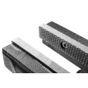 Topex 07A220 bench vices
