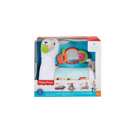 Fisher-Price GHJ03 learning toy