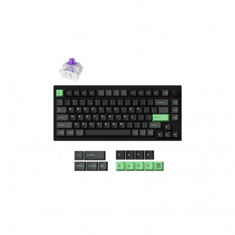 Keychron KEYBOARD WRL P1 HE RGB/BLACK P1H-M1Z
