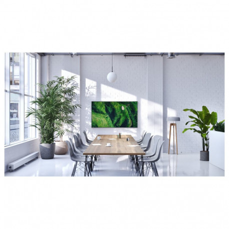 Sony teler FW65BZ35PB.CEI 165,1cm (65") 3840 x 2160 pixel 16:9 4K Ultra HD LED 8ms HDMI VESA 300 x 3