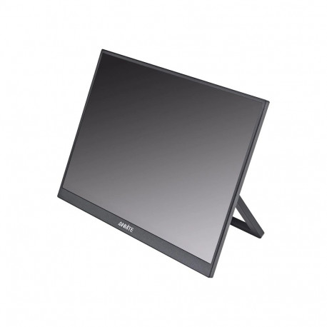 ANMITE A215W03 21.5" Portable Monitor