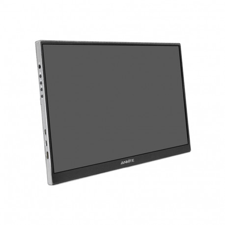 ANMITE A160W04H 16" Portable Monitor
